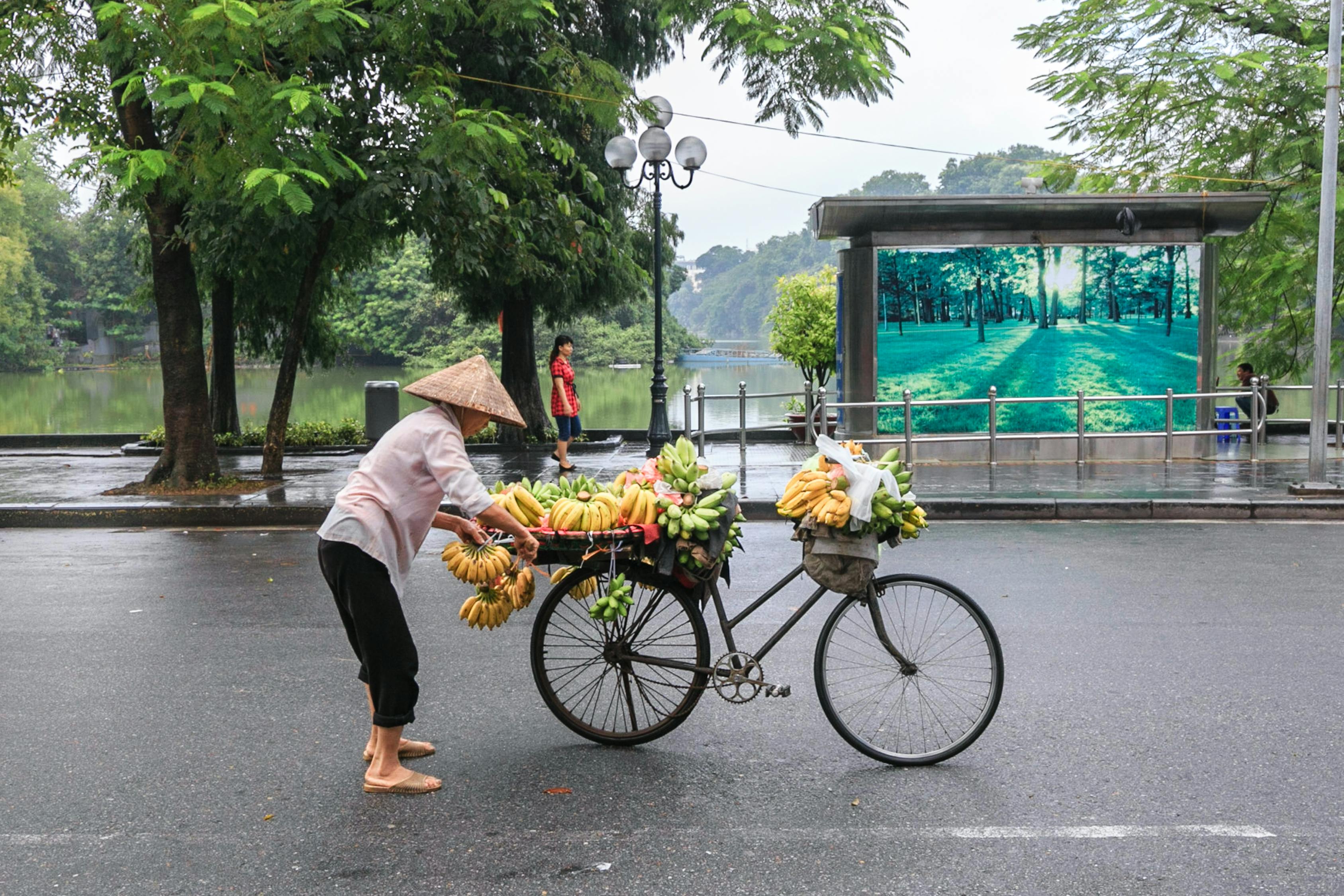 特朗普视角下的电动汽车未来，我为何反对全民电动化