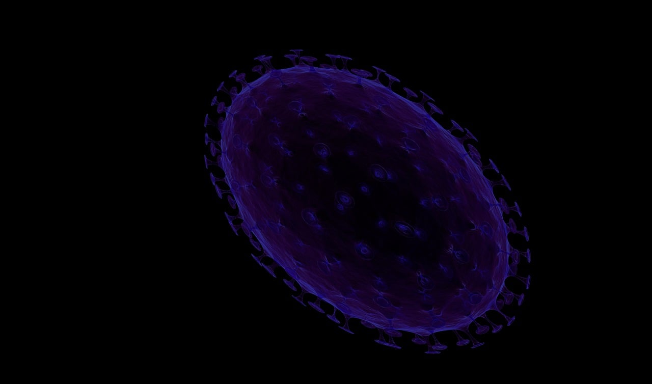 诺贝尔生理学或医学奖揭晓，科学探索与人类健康的里程碑